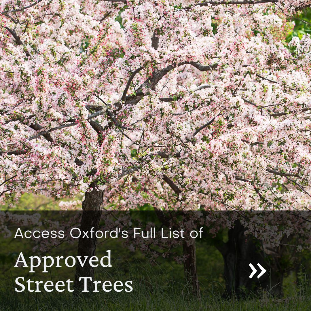Website Buttons - Approved Tree List